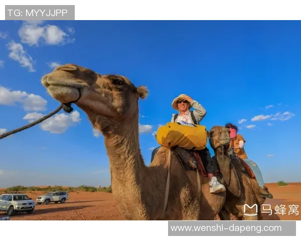 纳米比亚与摩洛哥的精彩对决分析及比赛前瞻